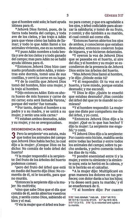 RVR60 Santa Biblia Ultrafina Letra Grande, Imitación Piel Café - Imagen 6