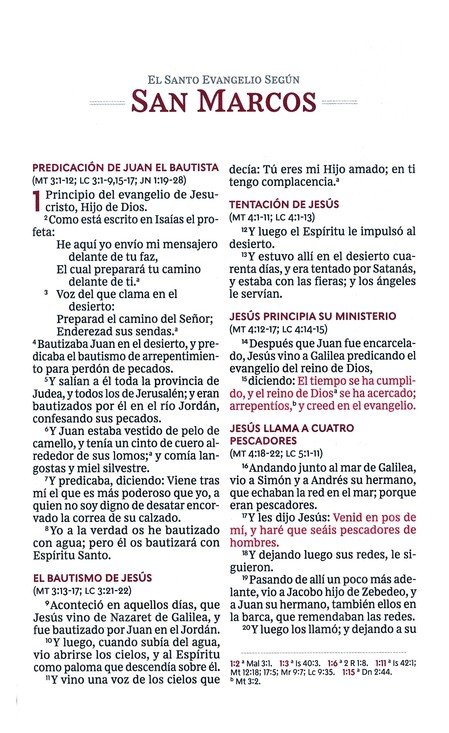 RVR60 Santa Biblia Ultrafina Letra Grande, Imitación Piel Café - Imagen 7