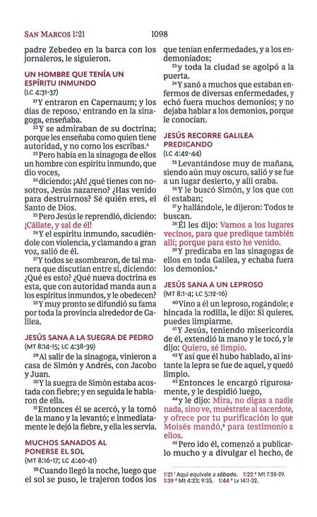 RVR60 Santa Biblia Ultrafina Letra Grande, Imitación Piel Café - Imagen 8