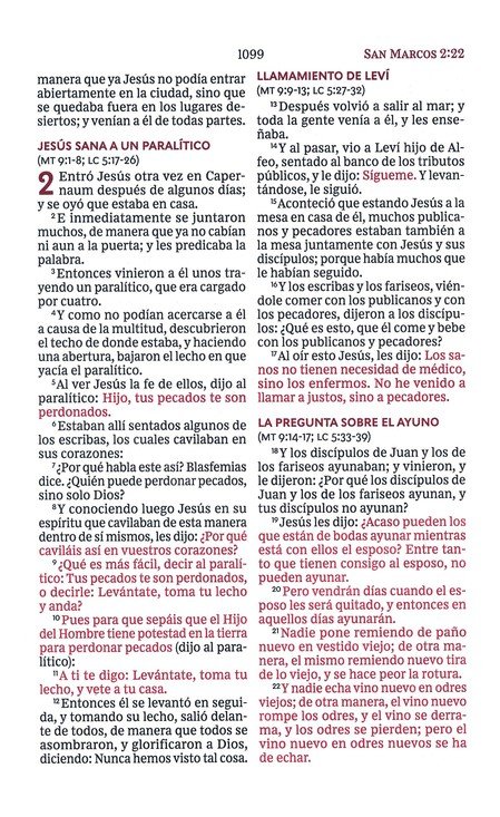 RVR60 Santa Biblia Ultrafina Letra Grande, Imitación Piel Café - Imagen 9