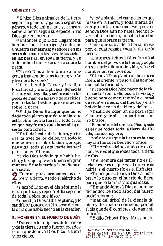 RVR60 Santa Biblia Ultrafina Letra Gigante, Imitación Piel Café - Imagen 5