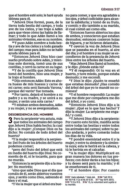 RVR60 Santa Biblia Ultrafina Letra Gigante, Imitación Piel Café - Imagen 6