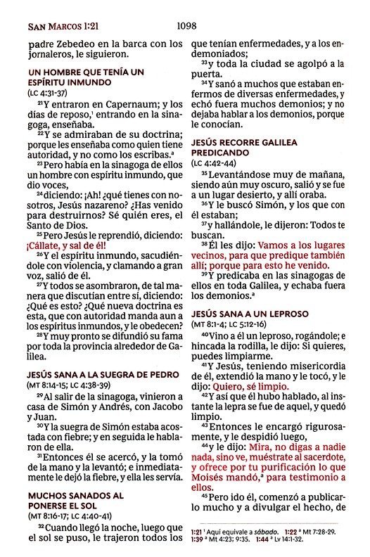 RVR60 Santa Biblia Ultrafina Letra Gigante, Imitación Piel Café - Imagen 8