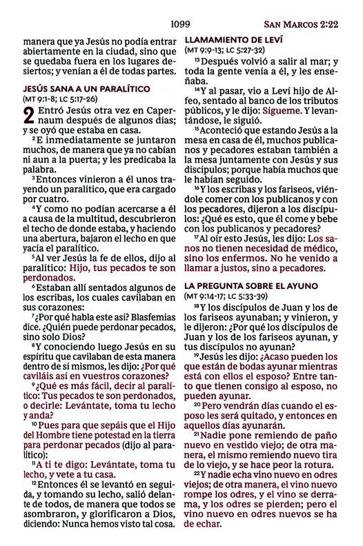 RVR60 Santa Biblia Ultrafina Letra Gigante, Imitación Piel Café - Imagen 9