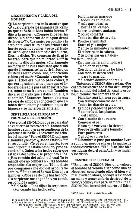 NBLA Santa Biblia, Edición Económica, Letra Grande, Tapa Rústica - La Caja viene con 28 Biblias - Imagen 5