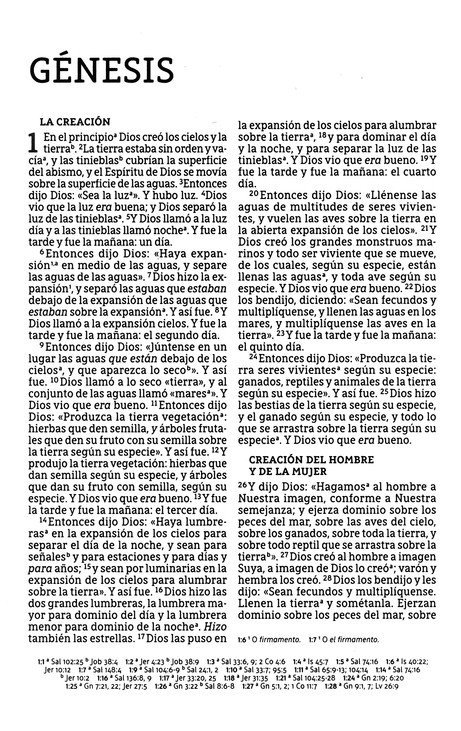 NBLA Santa Biblia, Edición Económica, Letra Grande, Tapa Rústica - Caja de 24 Biblias - Imagen 4