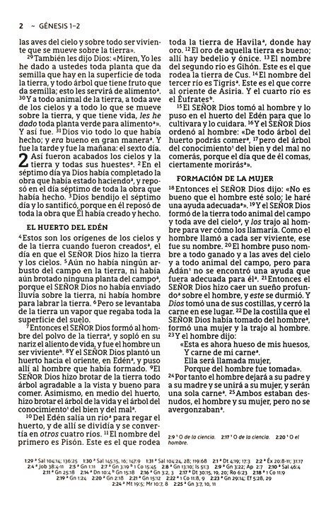 NBLA Santa Biblia, Edición Económica, Letra Grande, Tapa Rústica - Caja de 24 Biblias - Imagen 5