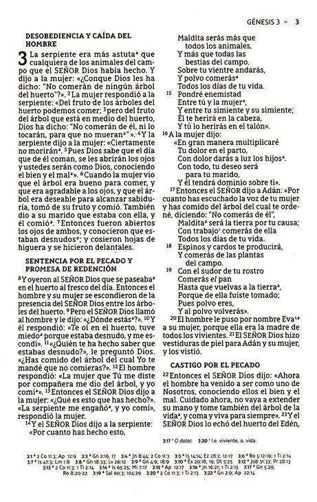 NBLA Santa Biblia, Edición Económica, Letra Grande, Tapa Rústica - Caja de 24 Biblias - Imagen 6