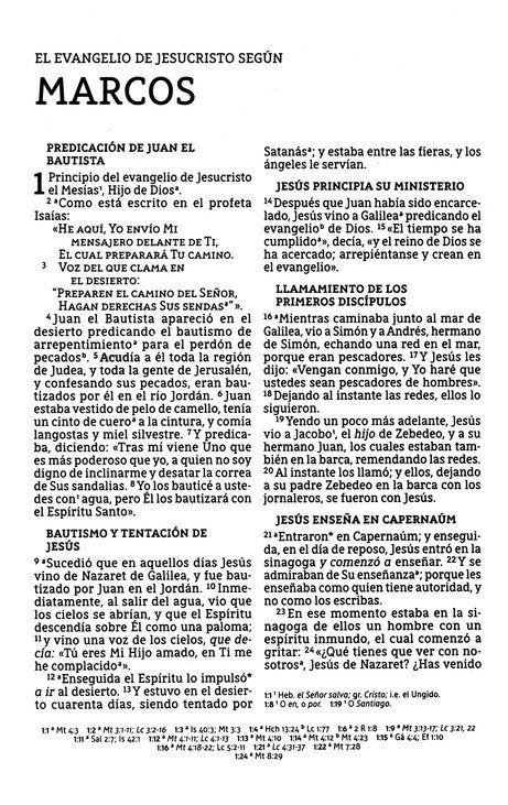 NBLA Santa Biblia, Edición Económica, Letra Grande, Tapa Rústica - Caja de 24 Biblias - Imagen 7