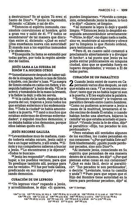 NBLA Santa Biblia, Edición Económica, Letra Grande, Tapa Rústica - Caja de 24 Biblias - Imagen 8