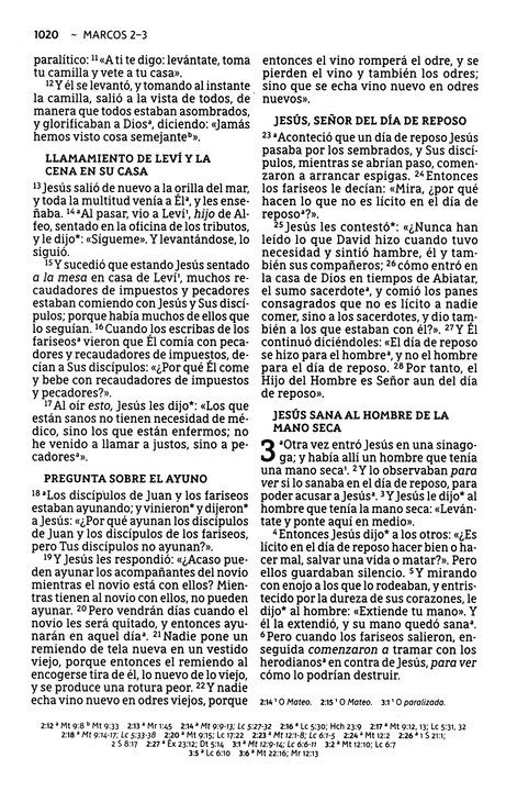 NBLA Santa Biblia, Edición Económica, Letra Grande, Tapa Rústica - Caja de 24 Biblias - Imagen 9