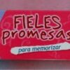 Fieles Promesas NVI -  Caja Promesas -  Nueva Versión Internacional