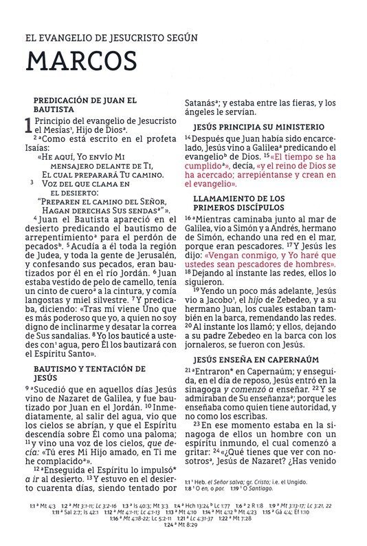 NBLA Biblia Ultrafina, Colección Premier, Azul - Imagen 8
