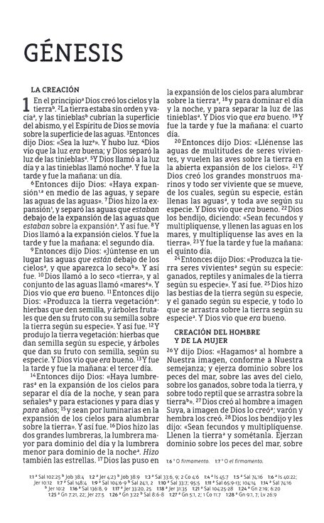 NBLA Santa Biblia del Ministro Imitación Piel Café con Cinta - Imagen 4