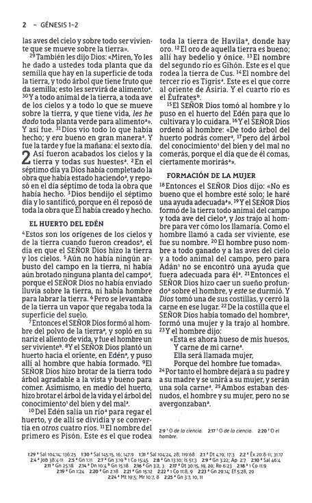 NBLA Santa Biblia del Ministro Imitación Piel Café con Cinta - Imagen 5