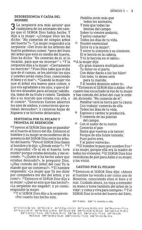 NBLA Santa Biblia del Ministro Imitación Piel Café con Cinta - Imagen 6