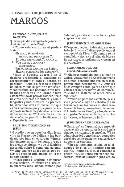 NBLA Santa Biblia del Ministro Imitación Piel Café con Cinta - Imagen 7