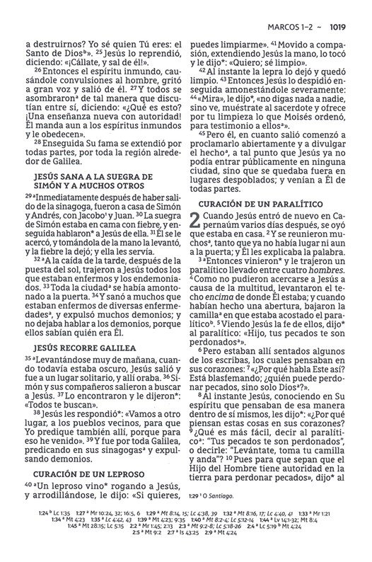 NBLA Santa Biblia del Ministro Imitación Piel Café con Cinta - Imagen 8
