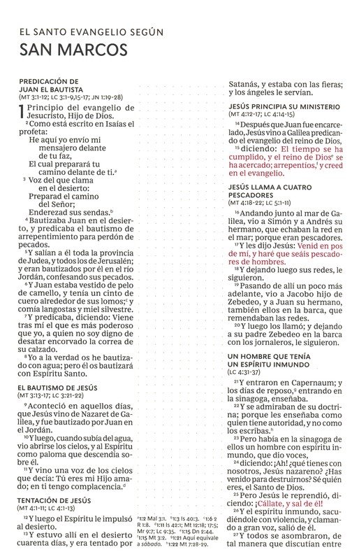 RVR60 Santa Biblia - Edición Artística, Tapa Dura - Tela - Floral - Canto con Diseño - Imagen 8