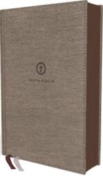 Biblia RVR60 - Serie 50 Letra Grande - Gris - Tamaño Manual
