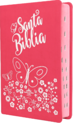 Biblia con Letra Grande Concordancia Amplia RVR1960, Tamaño Manual Imitación  Piel, Fucsia con Indice