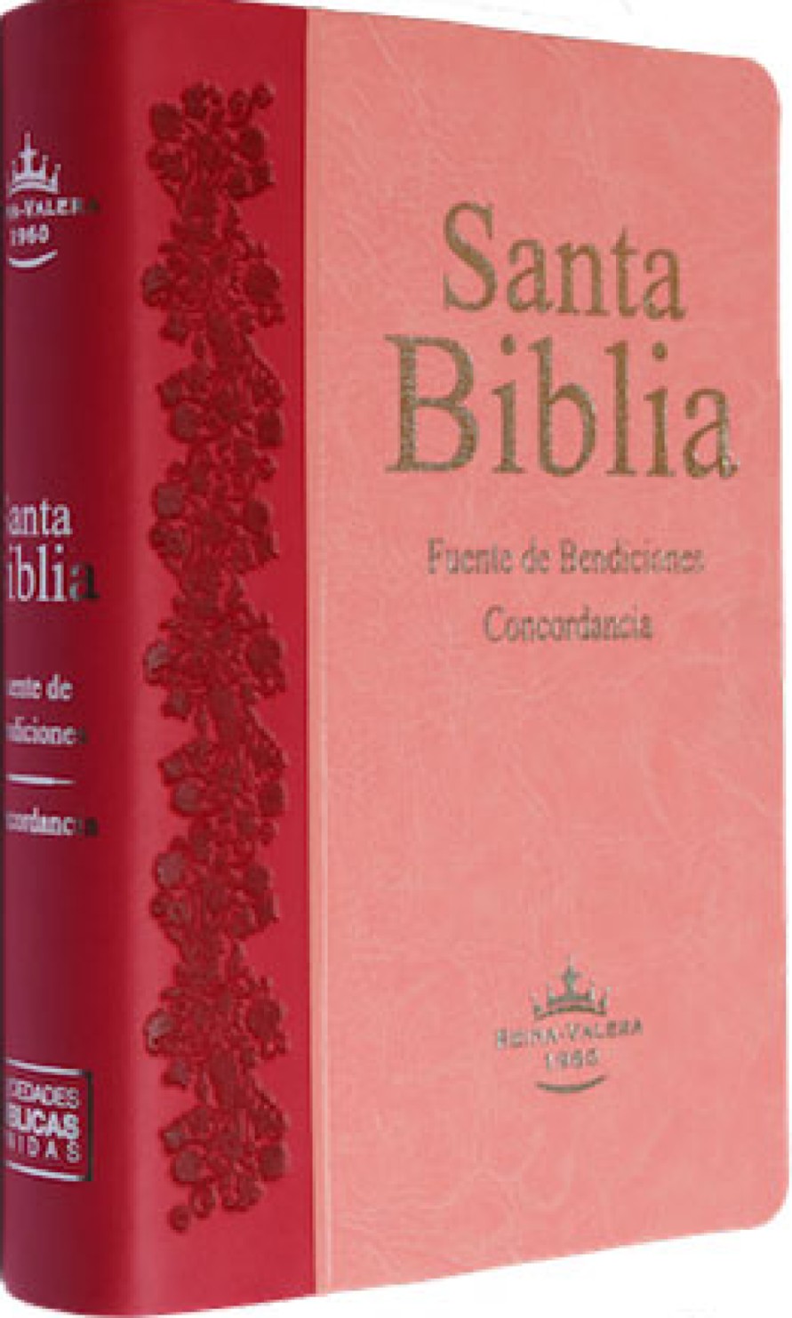 Santa Biblia RV1960 Fuente de Bendiciones de Promesas, Compacta Pequeña y Concordancia, Imitación Piel, Duo Tono Rosa y Fucsia, con Indice