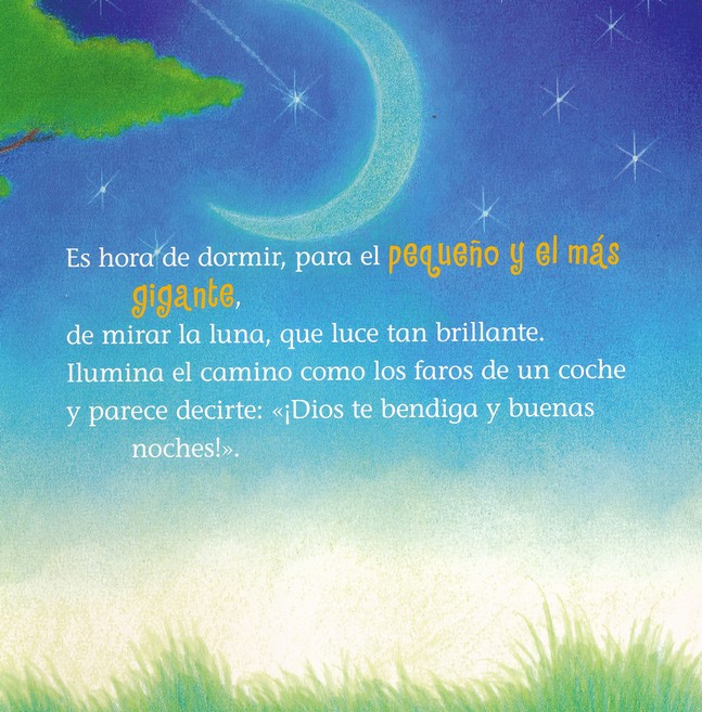 Dios Te Bendiga y Buenas Noches - Tapa Blanda - Hannah Hall - Imagen 4