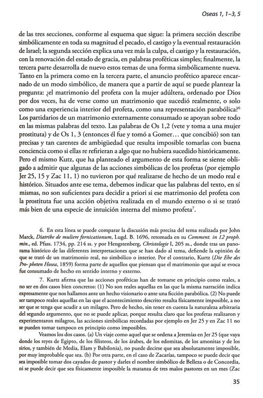 Comentario al Texto Hebreo del Antiguo Testamento: Profetas Menores - Tapa Blanda - C. F. Keil - Imagen 9