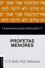 Comentario al Texto Hebreo del Antiguo Testamento: Profetas Menores - Tapa Blanda - C. F. Keil