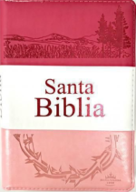Biblia Letra Grande con Cierre RV1960, Tamaño Manual Imitación Piel, Rosa,  con Indice