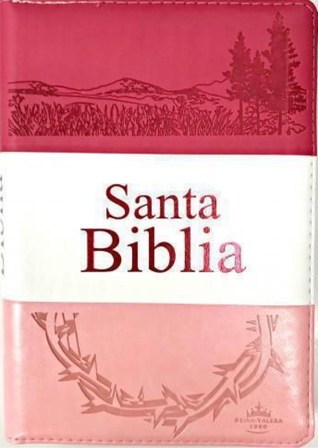 Biblia Letra Grande con Cierre RV1960, Tamaño Manual Imitación Piel, Rosa, con Indice