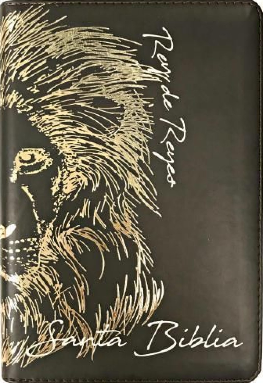 Biblia Reina Valera 1960 León Imitación Piel Marrón, Canto Dorado, Indice, Con Cierre