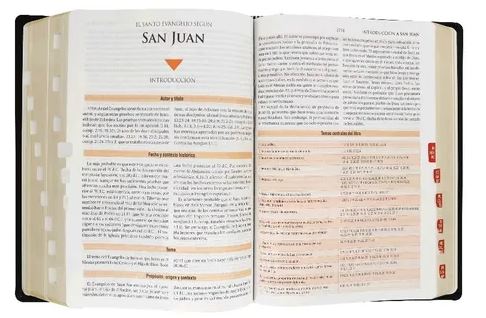Biblia De Estudio Teológico Reina Valera 1960 Imitación Piel Negro, Canto Dorado, Indice, Caja de Regalo - Imagen 5