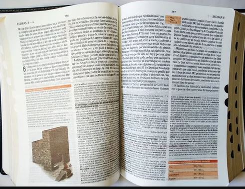 Biblia De Estudio Teológico Reina Valera 1960 Imitación Piel Negro, Canto Dorado, Indice, Caja de Regalo - Imagen 6