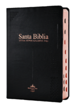 Biblia Reina Valera 1960 Letra Gigante, Vinil Negro, Canto Dorado, Indice