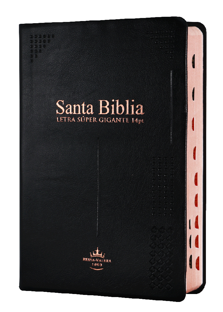 Biblia Reina Valera 1960 Letra Gigante, Vinil Negro, Canto Dorado, Indice