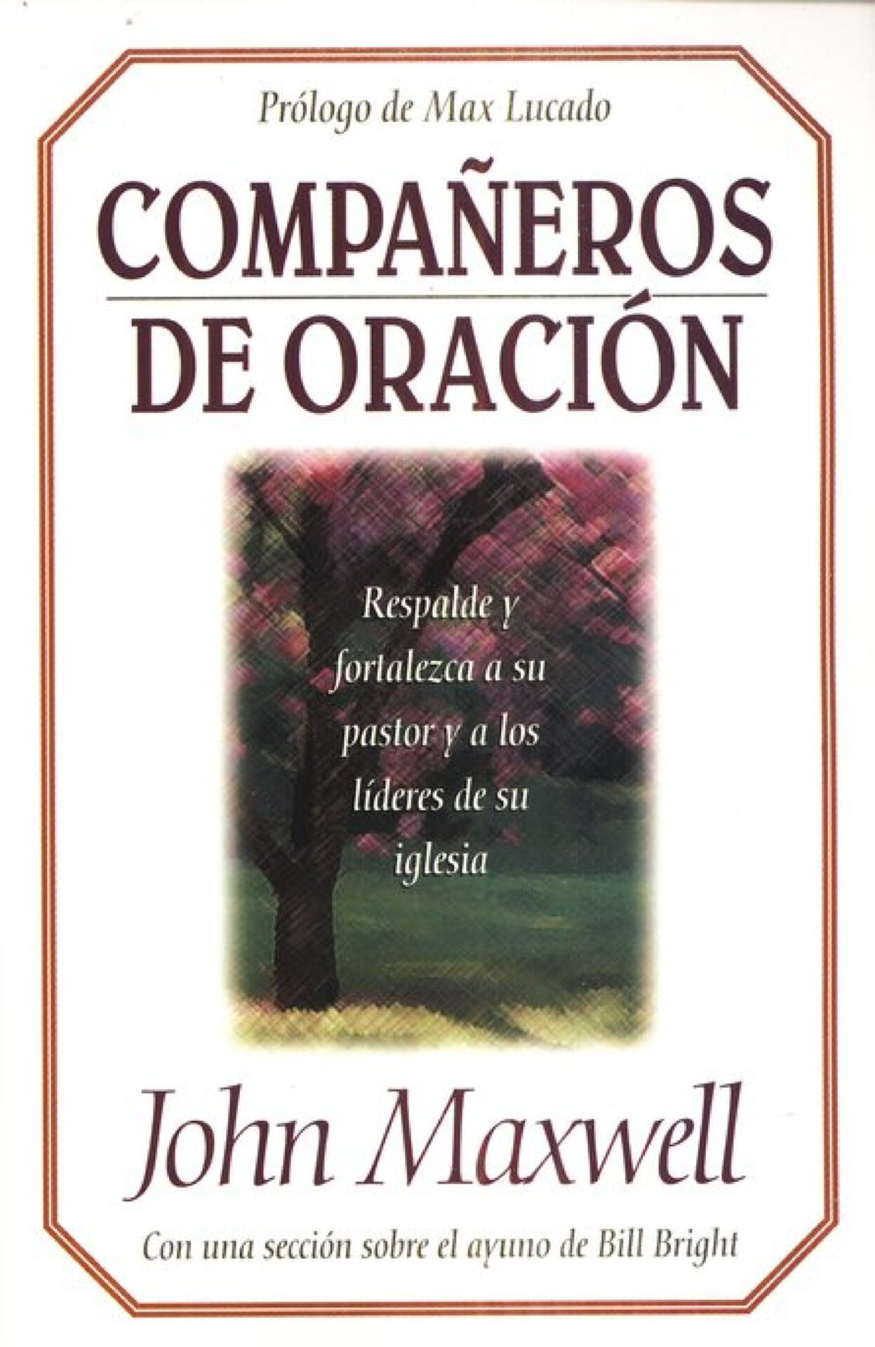 Compañeros De Oración - Tapa Blanda - John C. Maxwell