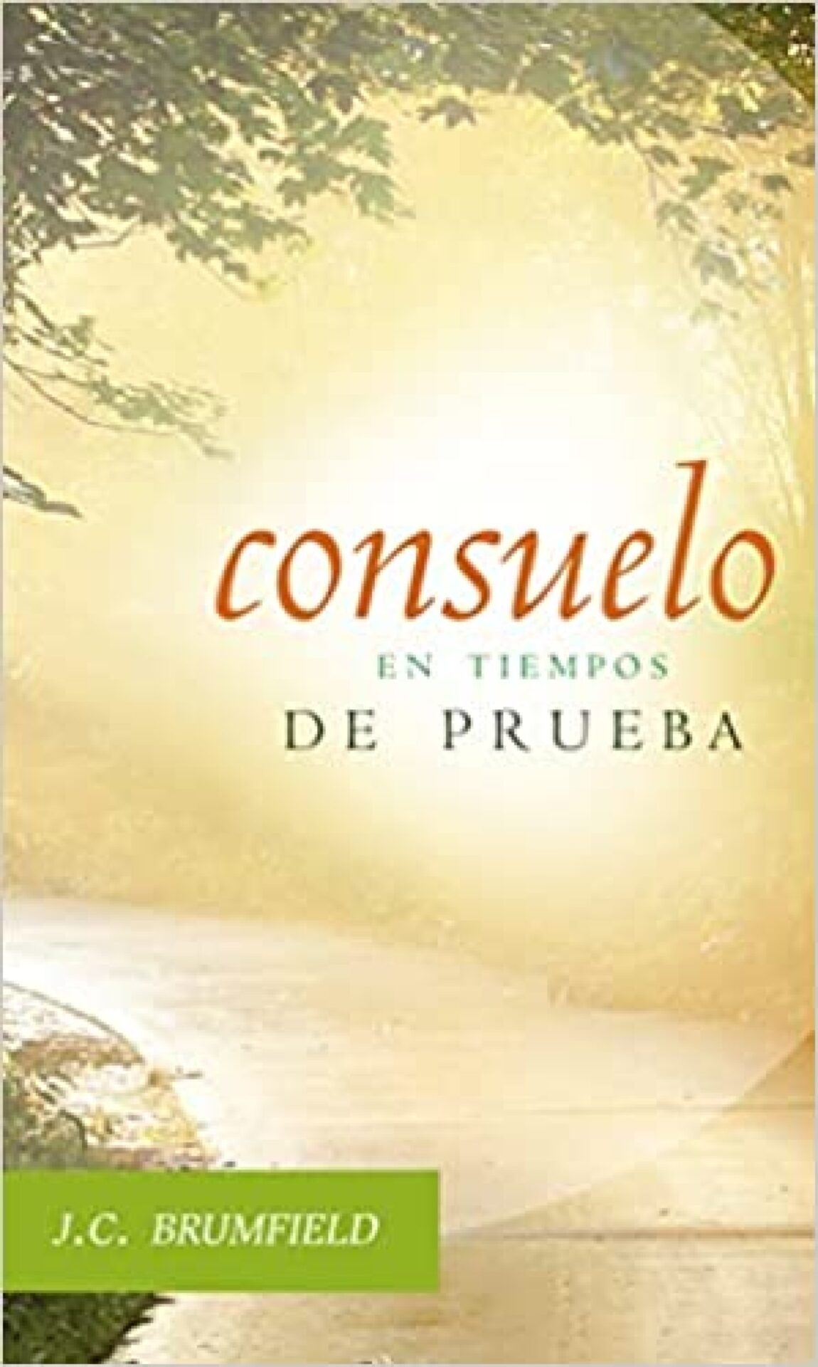 Consuelo en Tiempos de Prueba - Tapa Blanda - J. C. Brumfield