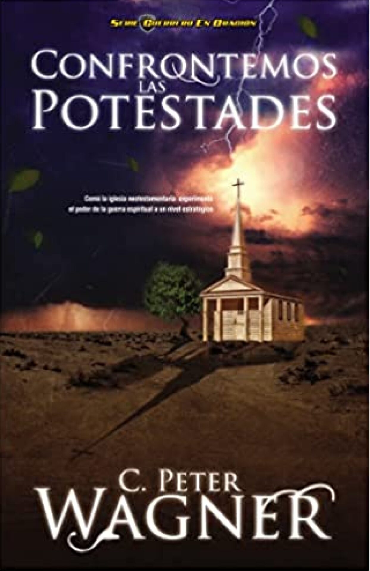 Confrontemos las Potestades - Tapa Blanda - Peter C. Wagner