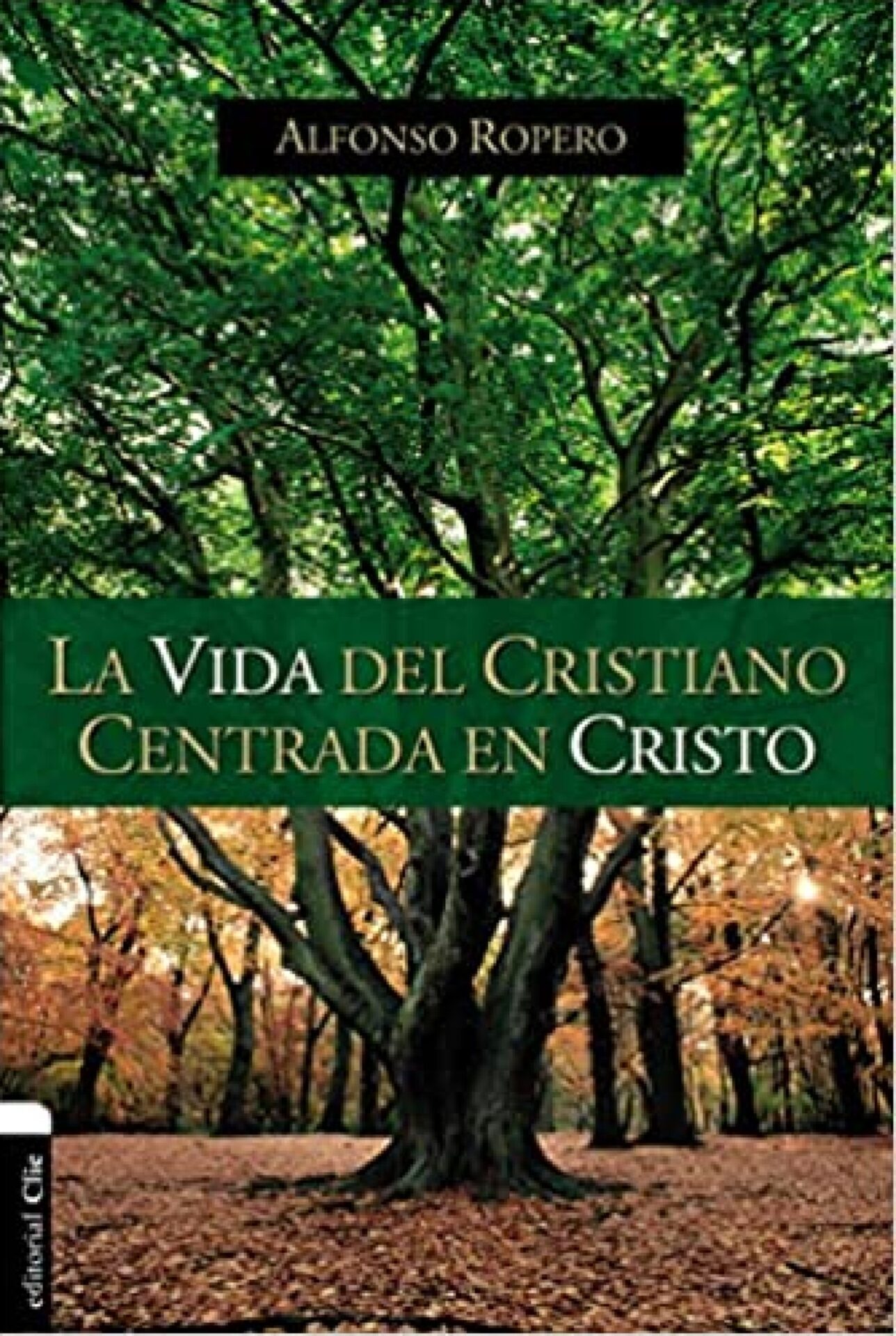 La Vida del Cristiano Centrada en Cristo - Tapa Blanda - Alfonso Ropero