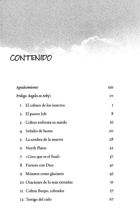 El Cielo es Real - Tapa Blanda - Todd Burpo - Imagen 3