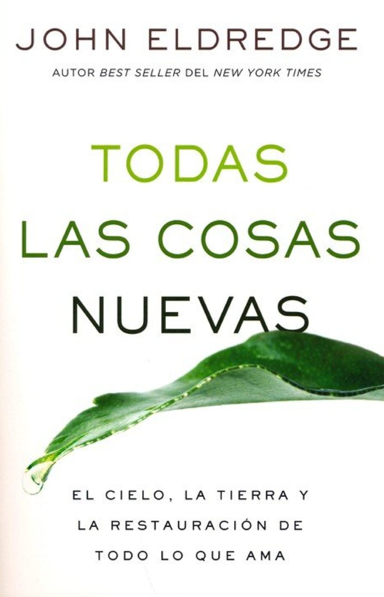 Todas las Cosas Nuevas - Tapa Blanda - John Eldredge