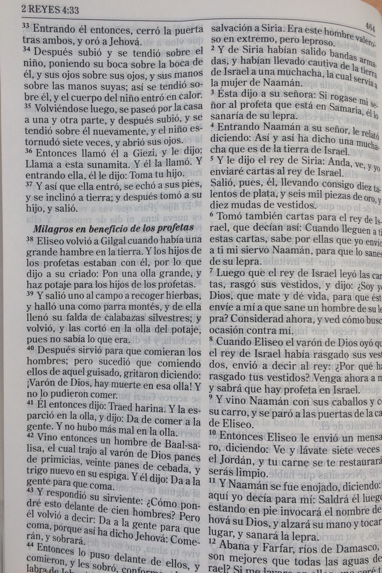 Biblia Fortaleza RVR 1960 Piel Marrón - John MacArthur - Imagen 5