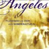 Trabajando con los Angeles  - Tapa Blanda - Steven Brooks
