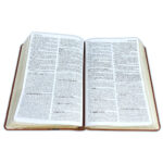 Alternative view of Biblia de Estudio de la Vida Plena para Jóvenes RV60 Imitación Piel Marrón