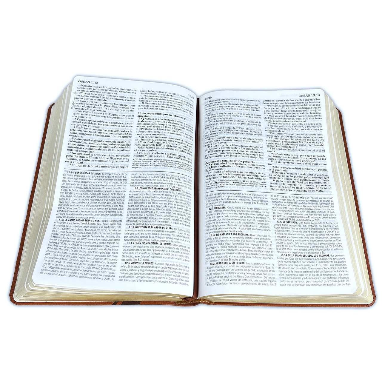 Biblia de Estudio de la Vida Plena para Jóvenes RV60 Imitación Piel Marrón - Imagen 2