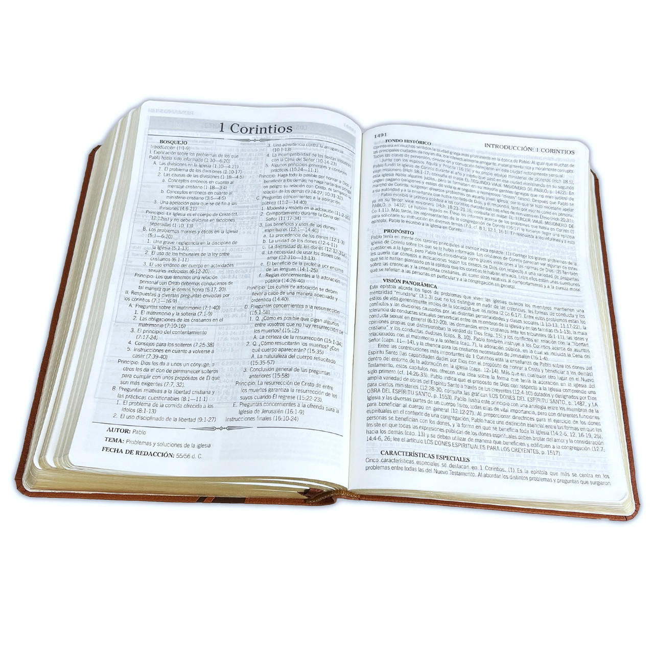 Biblia de Estudio de la Vida Plena para Jóvenes RV60 Imitación Piel Marrón - Imagen 3