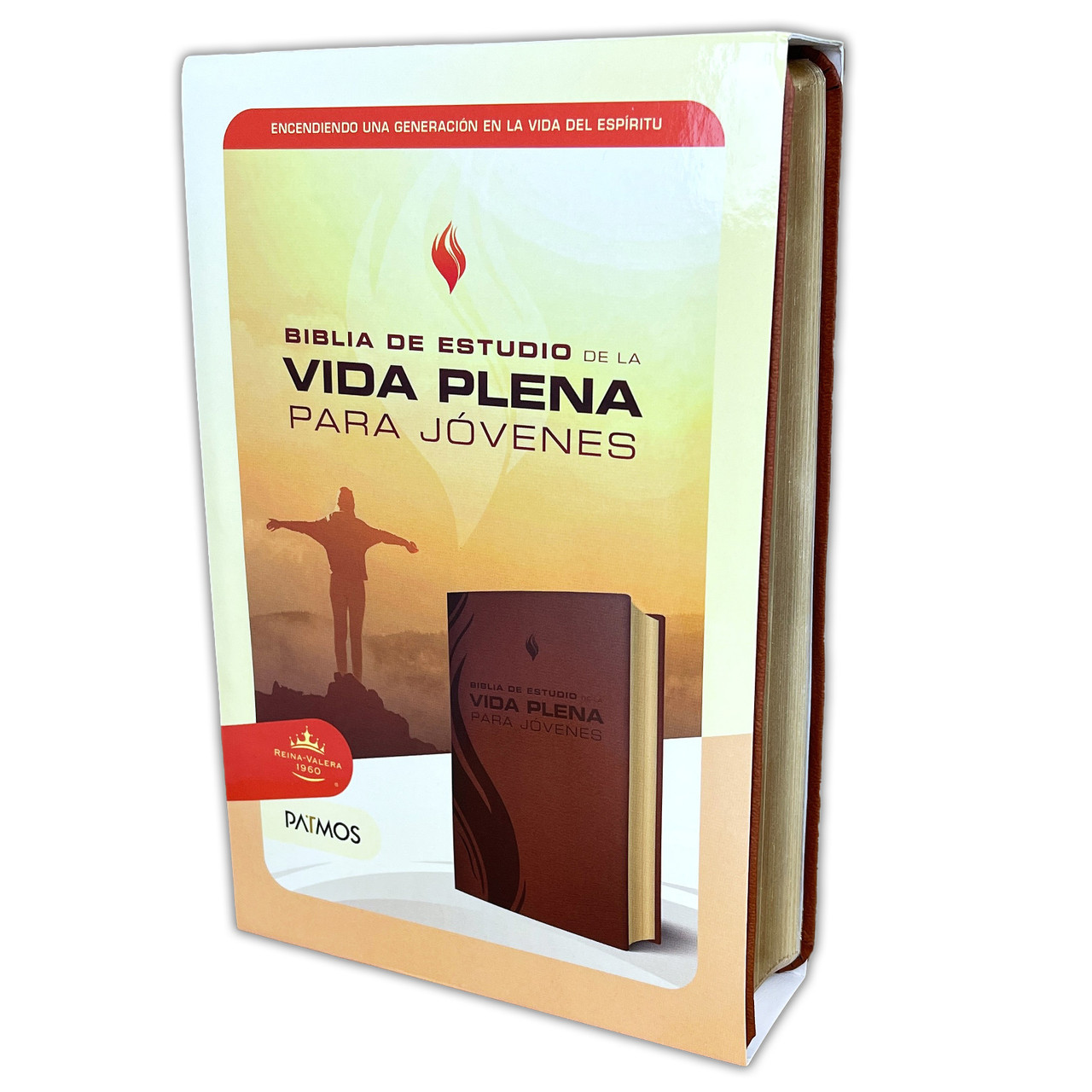 Biblia de Estudio de la Vida Plena para Jóvenes RV60 Imitación Piel Marrón - Imagen 5