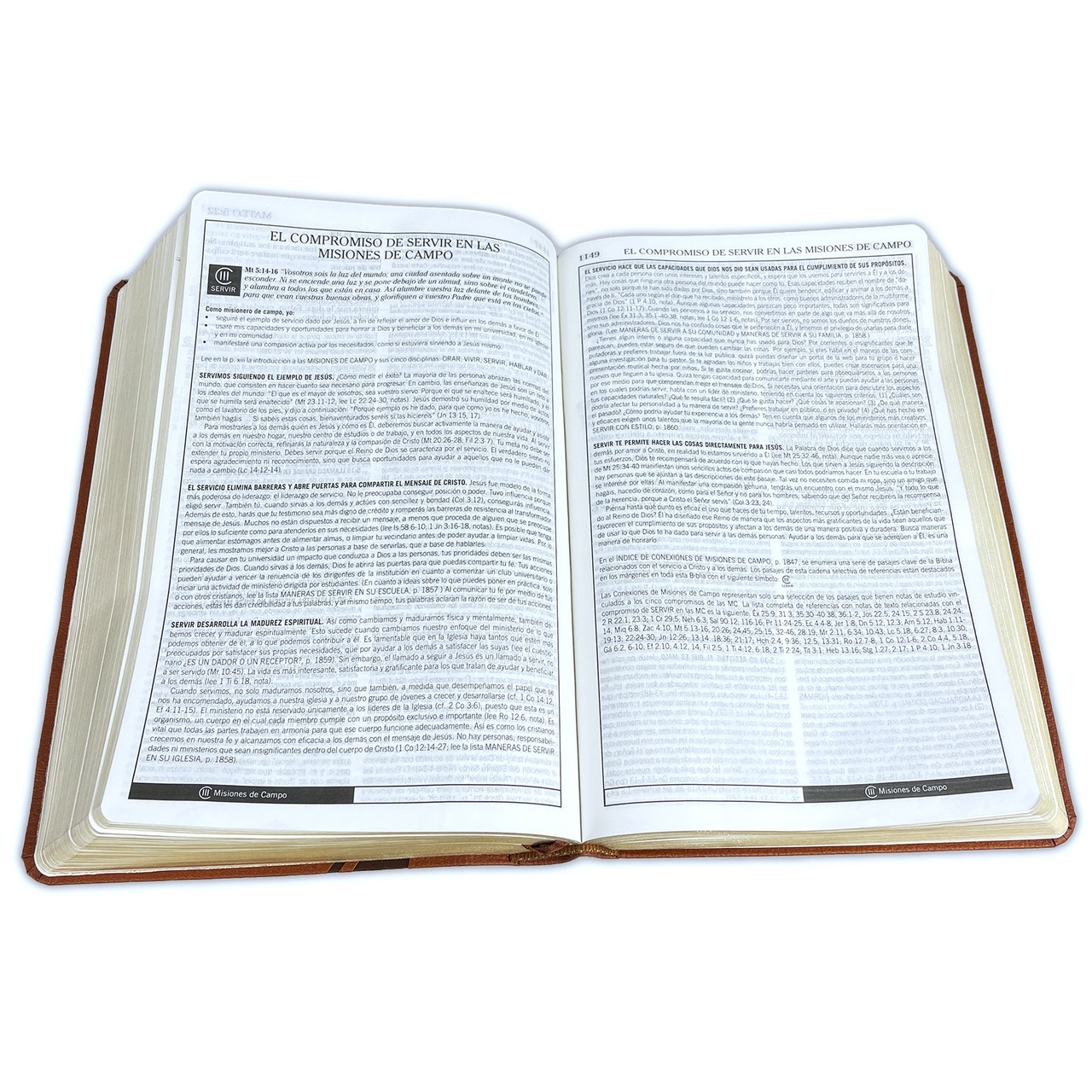 Biblia de Estudio de la Vida Plena para Jóvenes RV60 Imitación Piel Marrón - Imagen 4