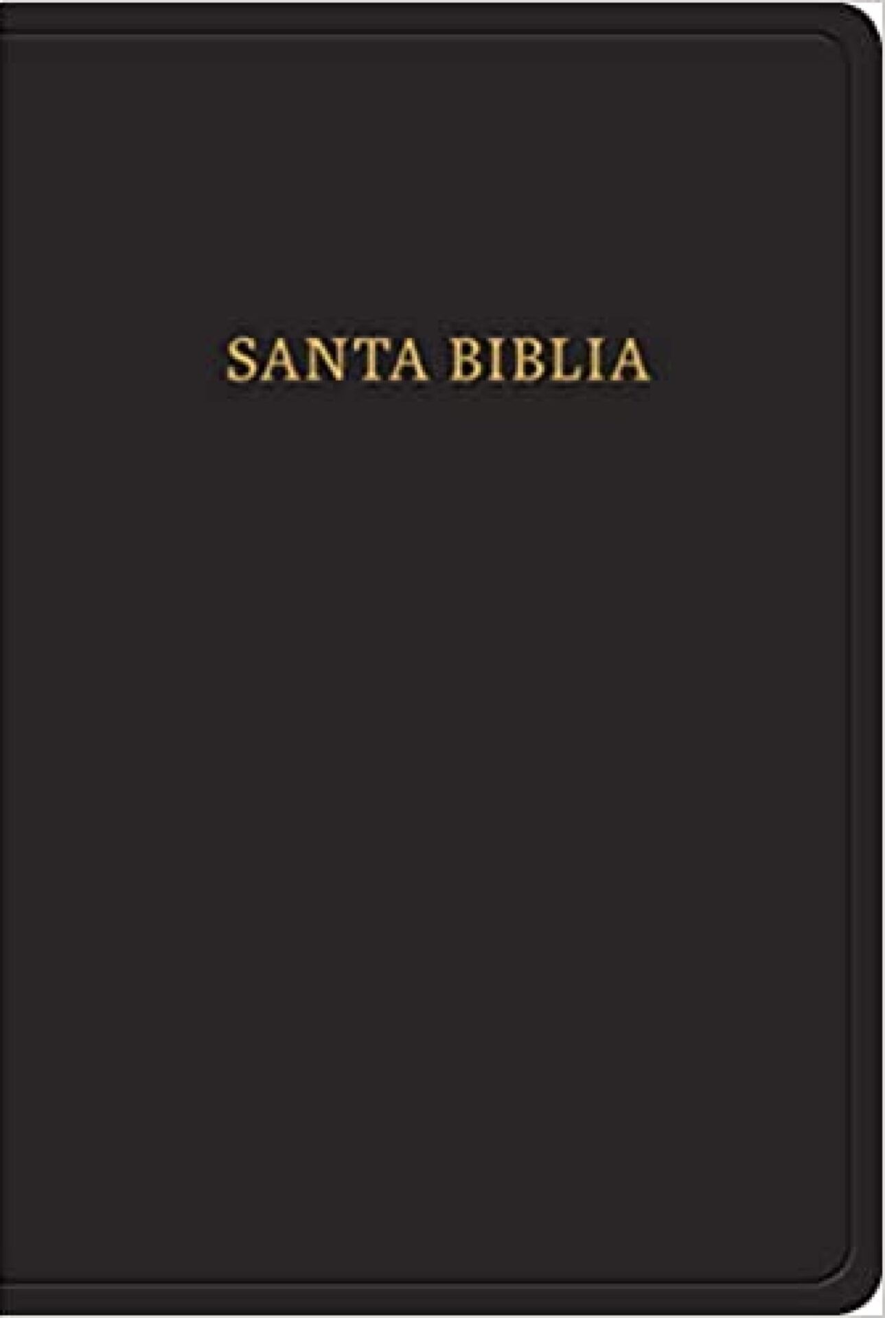 Biblia Reina Valera 1960 Tamaño Manual Letra Grande Piel Fabricada Negro